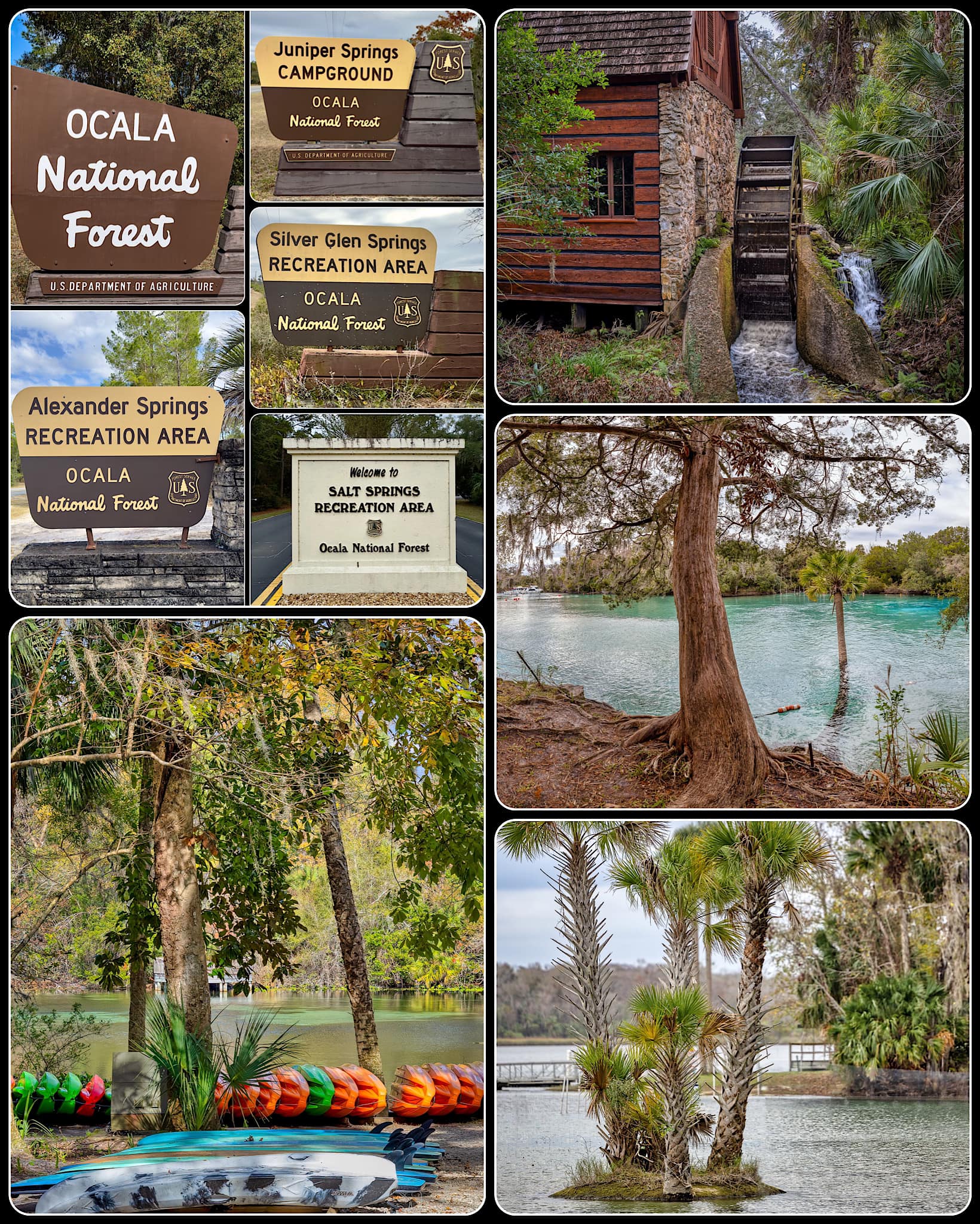 Florida - Four major natural springs of crystal clear water in Ocala ...