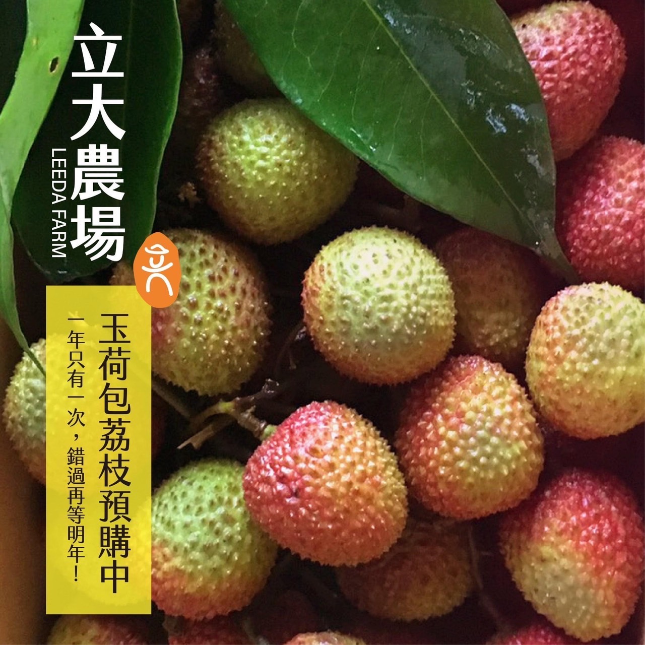 立大農場 - 🙌️等了一年！🙌 玉荷包荔枝終於來啦👏 我們的玉荷包採#自然管理 獨家施以 #自製營養胺基酸牛奶... | Facebook