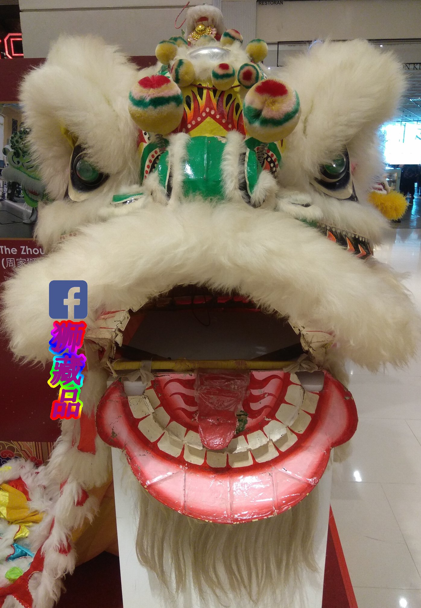 白毛五彩（刘备狮）龙角传统狮头 种类：中国传统佛山狮... - 狮藏品 S.C.P Lion Dance Gallery