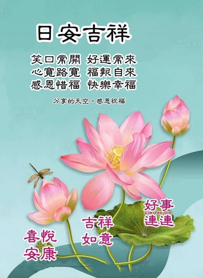 靜思語 - 日安吉祥.🪷.出入平安.🌿 笑口常開.🌸.好運常來.🍃 心寬路寬.🪷.福報自來.🌿 感恩惜福.🌸.快樂幸福.🍃