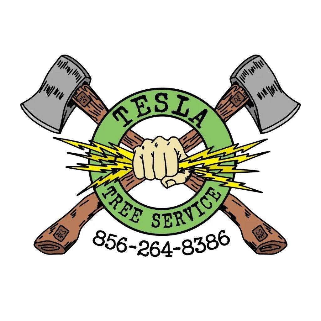 Tesla Tree Service
