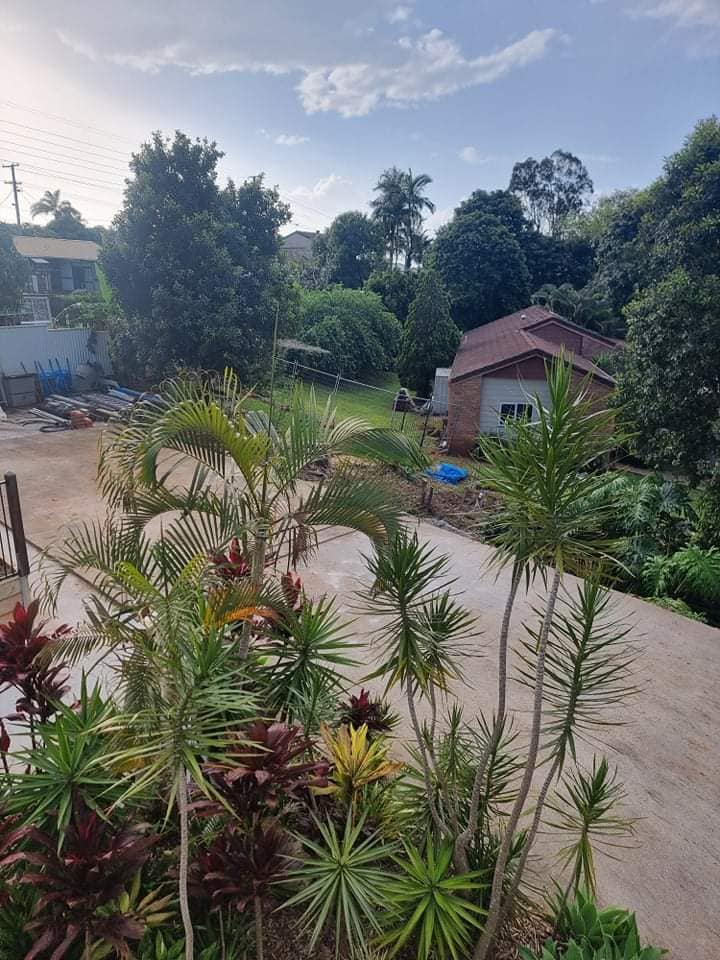 SafeWay Tree Service | Brisbane QLD