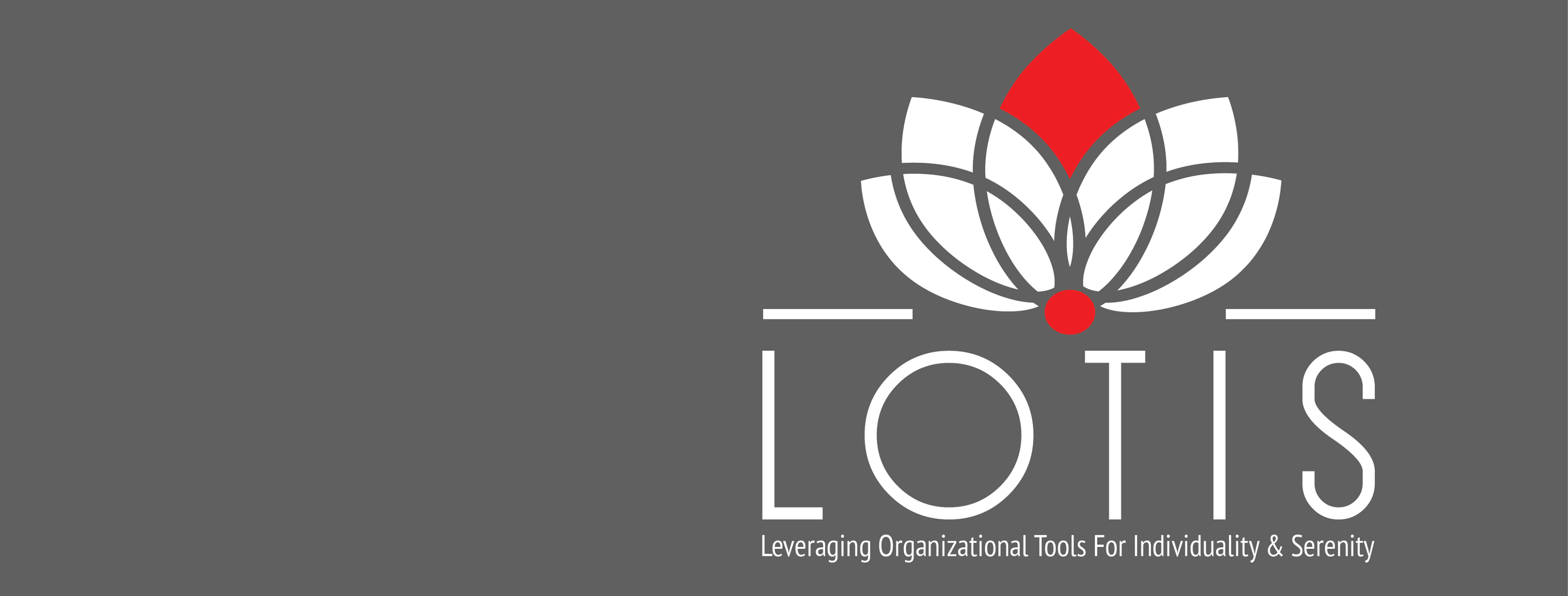 LOTIS Leveraging Organizational Tools for Individuality and Serenity
