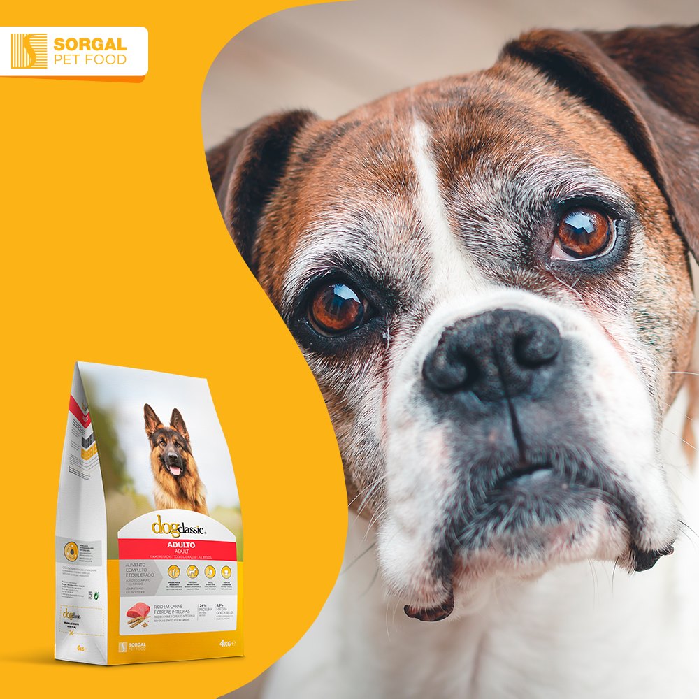 Sorgal Pet Food - A água, os hidratos de carbono e as...