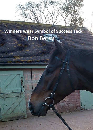 Congratulations to Ryan Potter... - Symbol of Success Racing