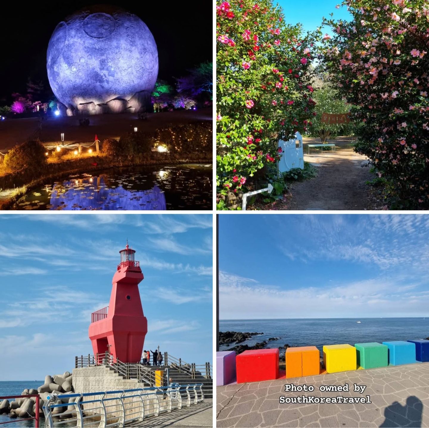 Your sign to explore Jeju now?? ?Luna Fall ?Camellia Hill 