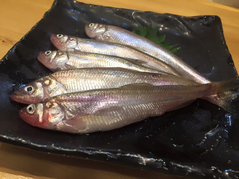 和くわく 居肴屋 本物のししゃも知ってますか 北海道産 生柳葉魚 ししゃも 入荷 Facebook