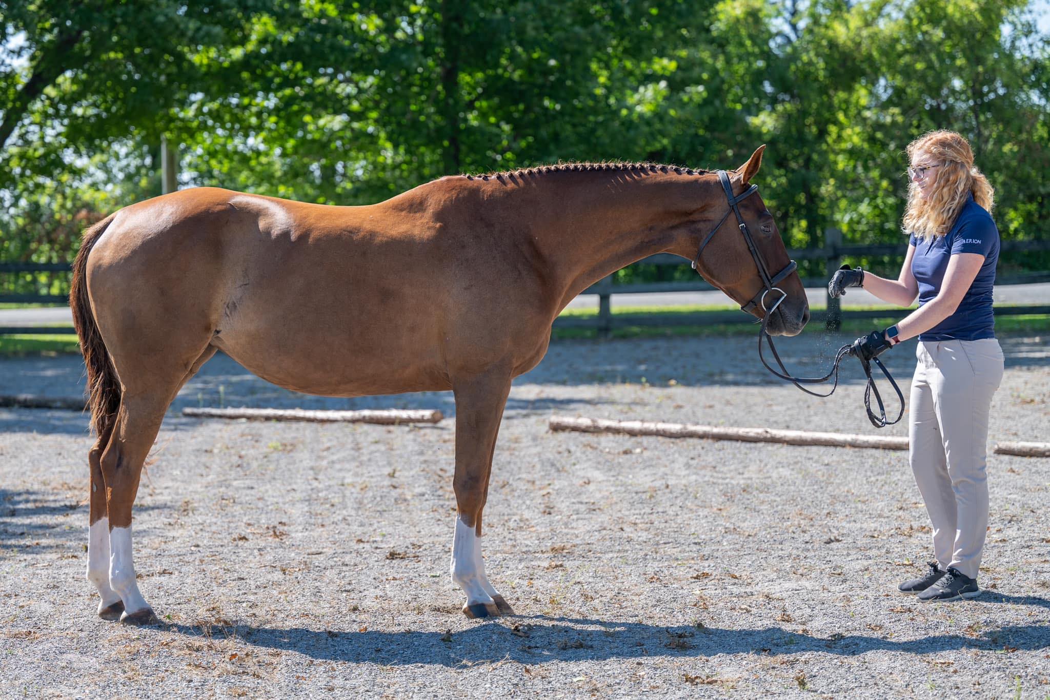 ABC Stables - Vested Interest aka Vesta born last night 8:15p.m. Very ...