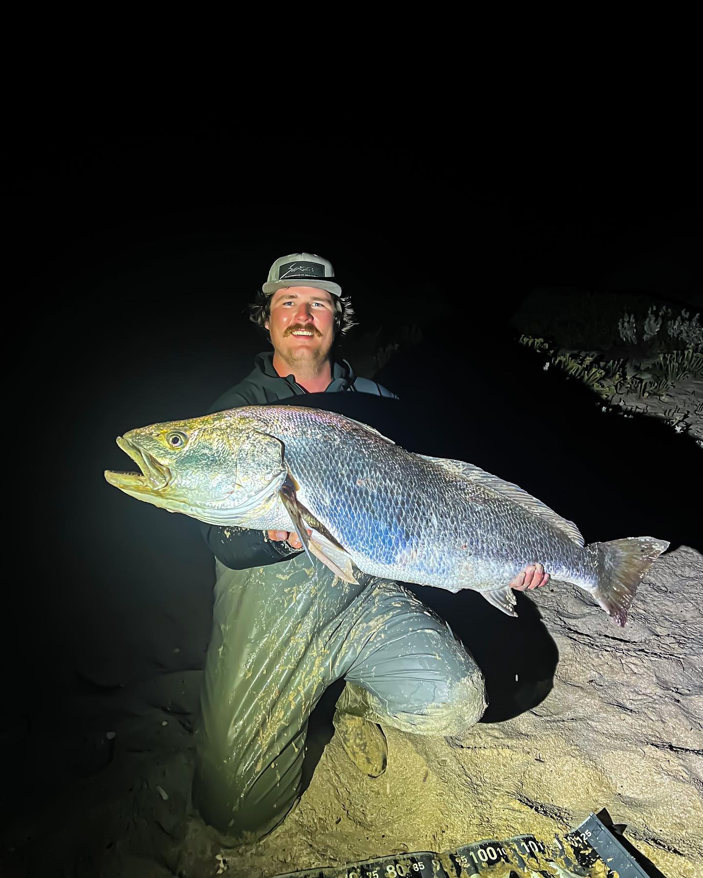 Bodhi - Absolutely love chasing these fish, long days and nights on the ...