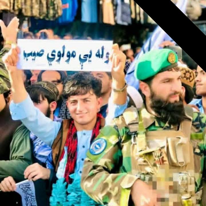 اجی رایس