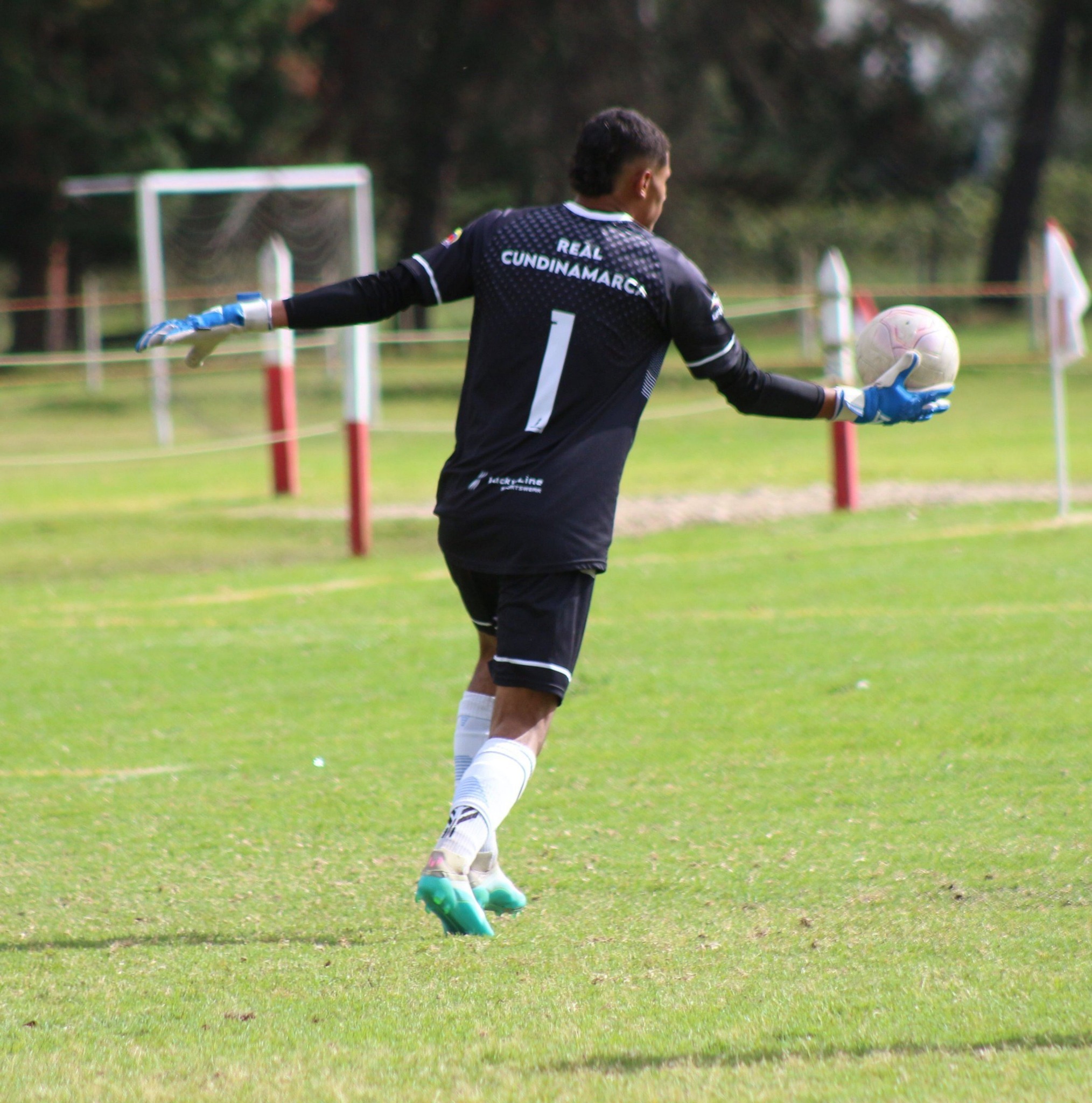 Dimas Alejandro