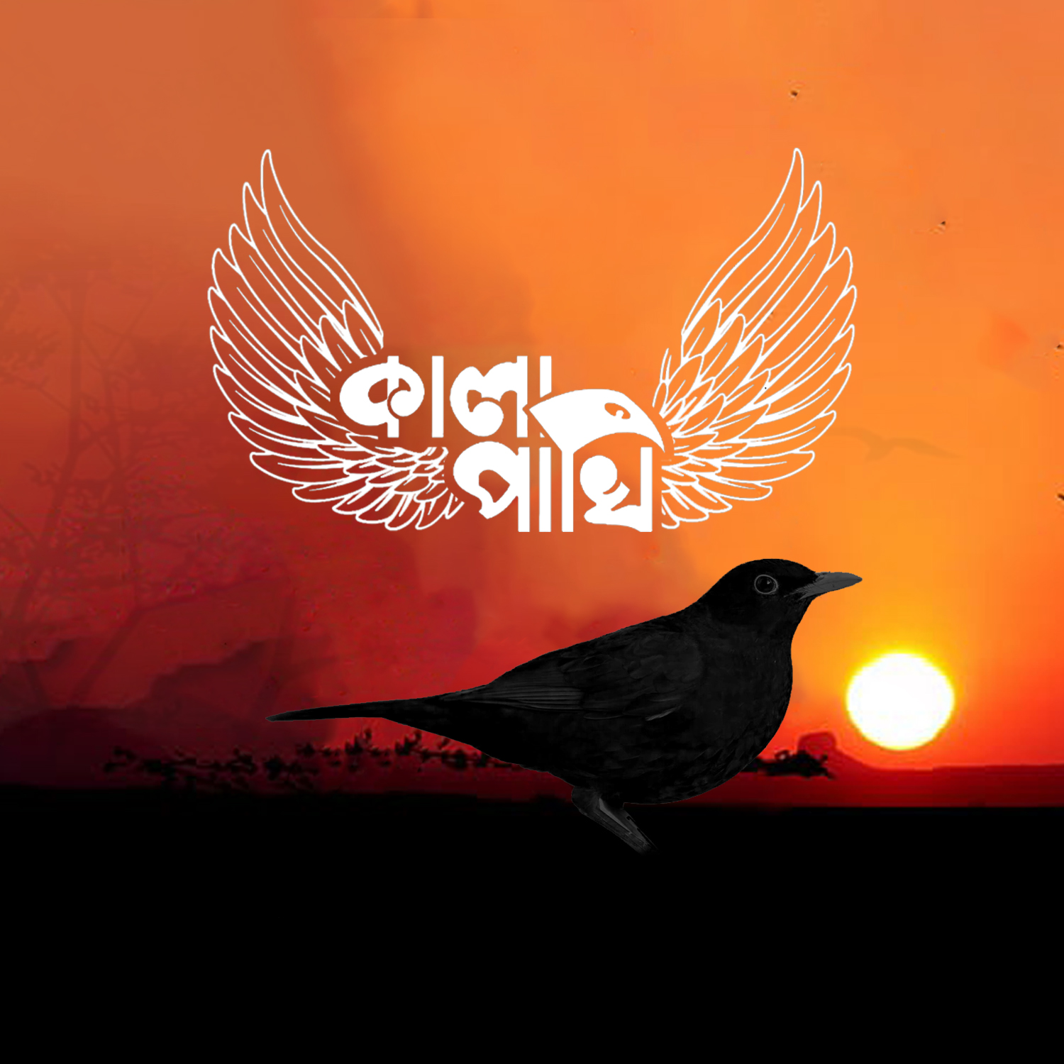 কালাপাখি