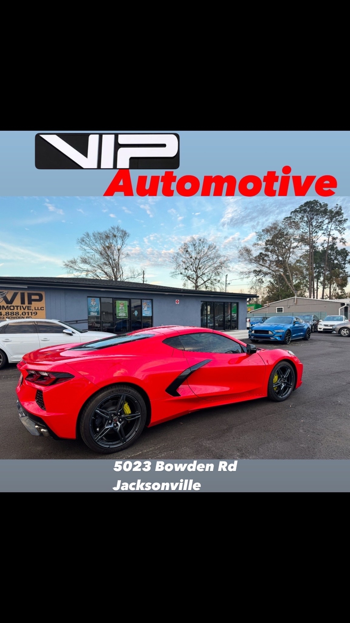 Vip Automotive | Jacksonville FL