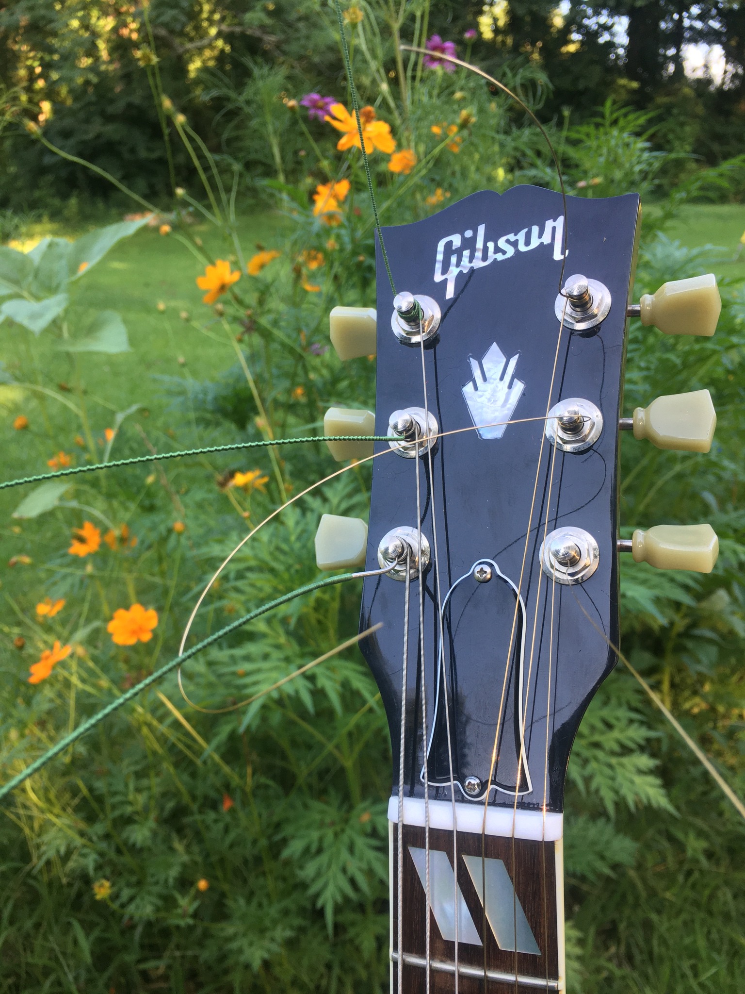 Brent Riddle Music
