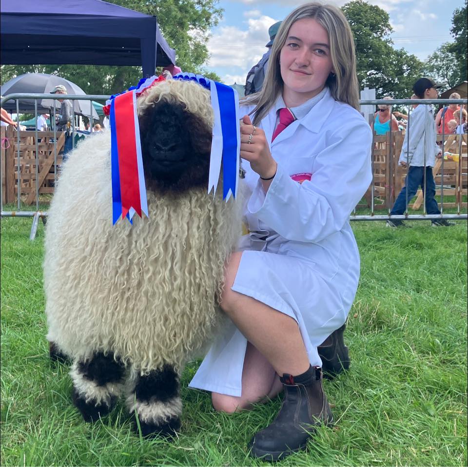 Sheep farmers UK | Anyone selling a sheep stand with winch NR north ...
