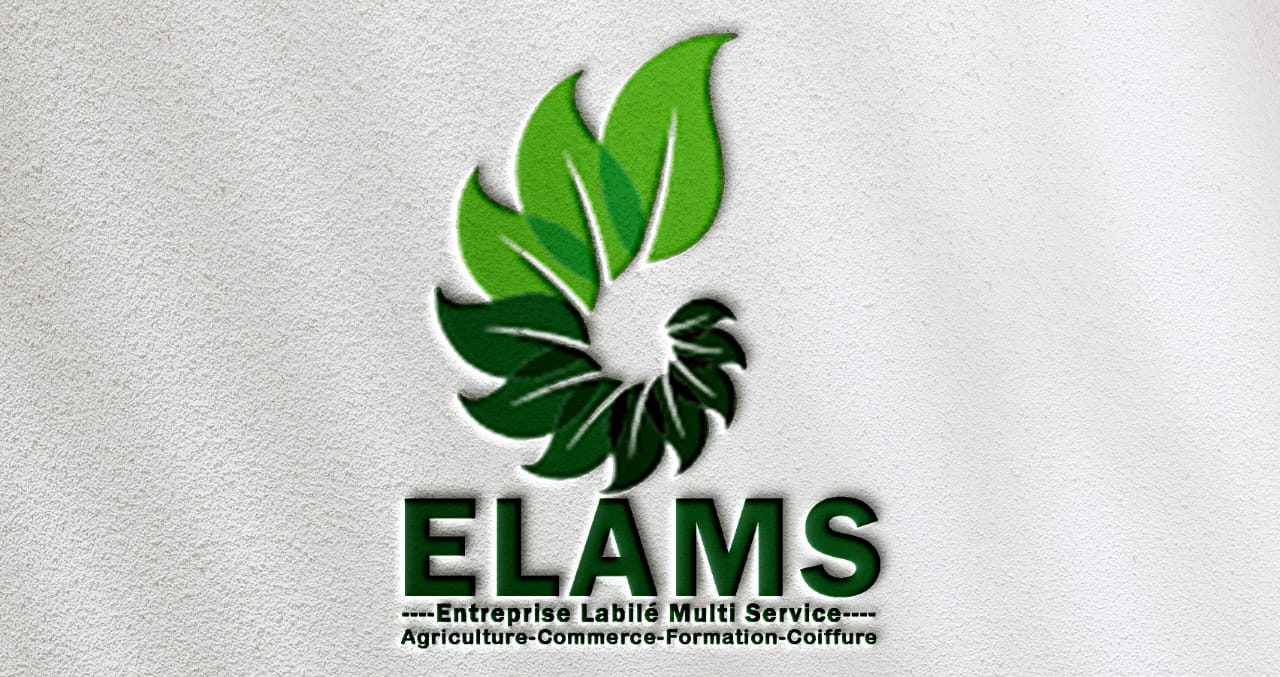 ELAMS
