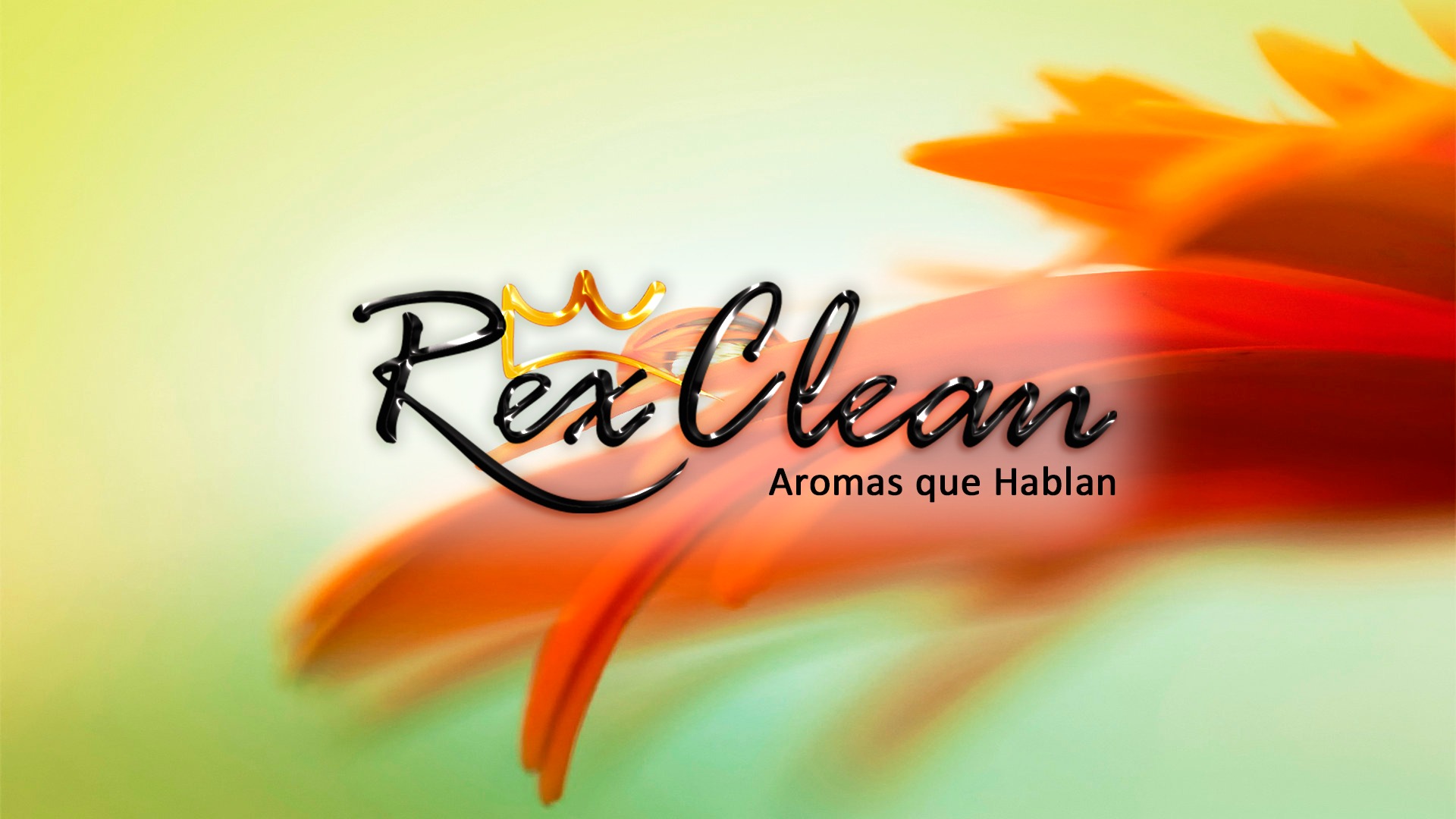 Rex Clean