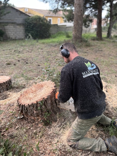 Max - En 2026, je continue à entretenir vos jardins et vos extérieurs ...