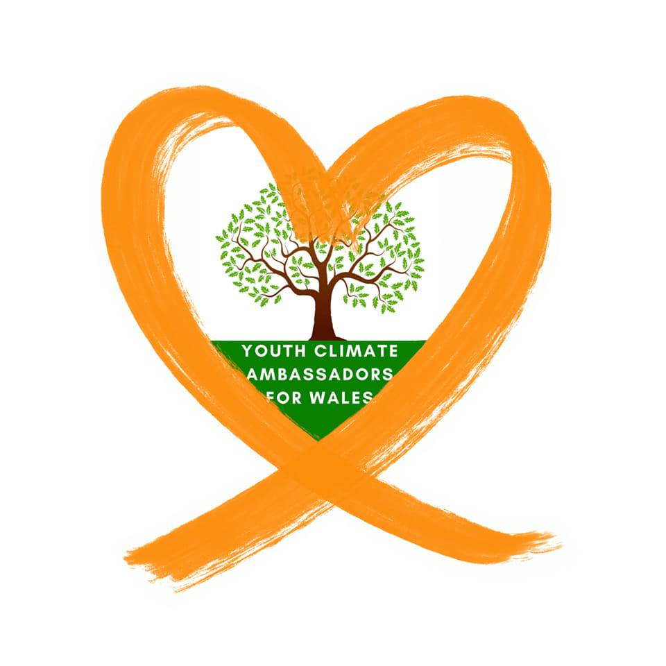 Youth Climate Ambassadors for Wales-YCA