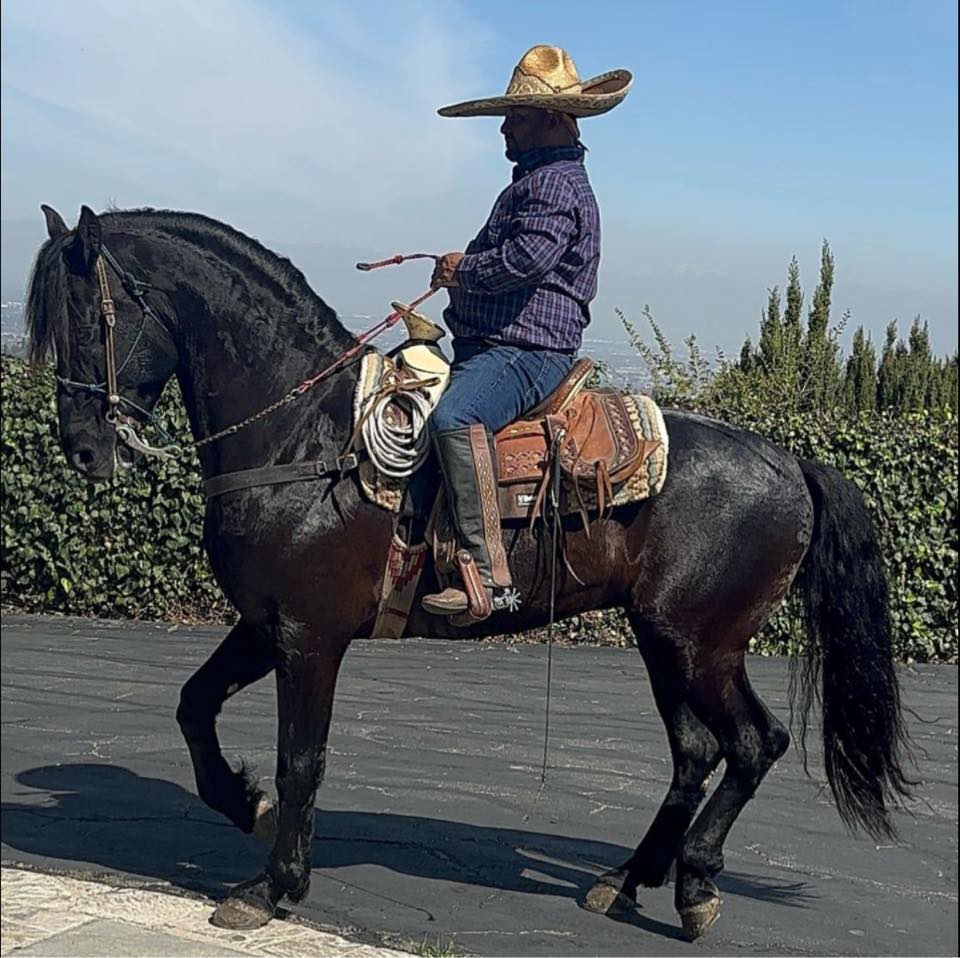 Listos para llevar mi Caballo a disfrutar un rato en el cumpleaños de ...