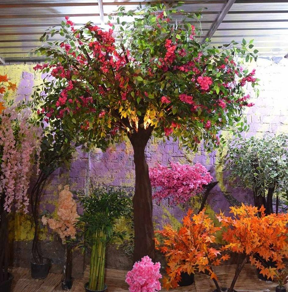 Green Trees Store | Giza