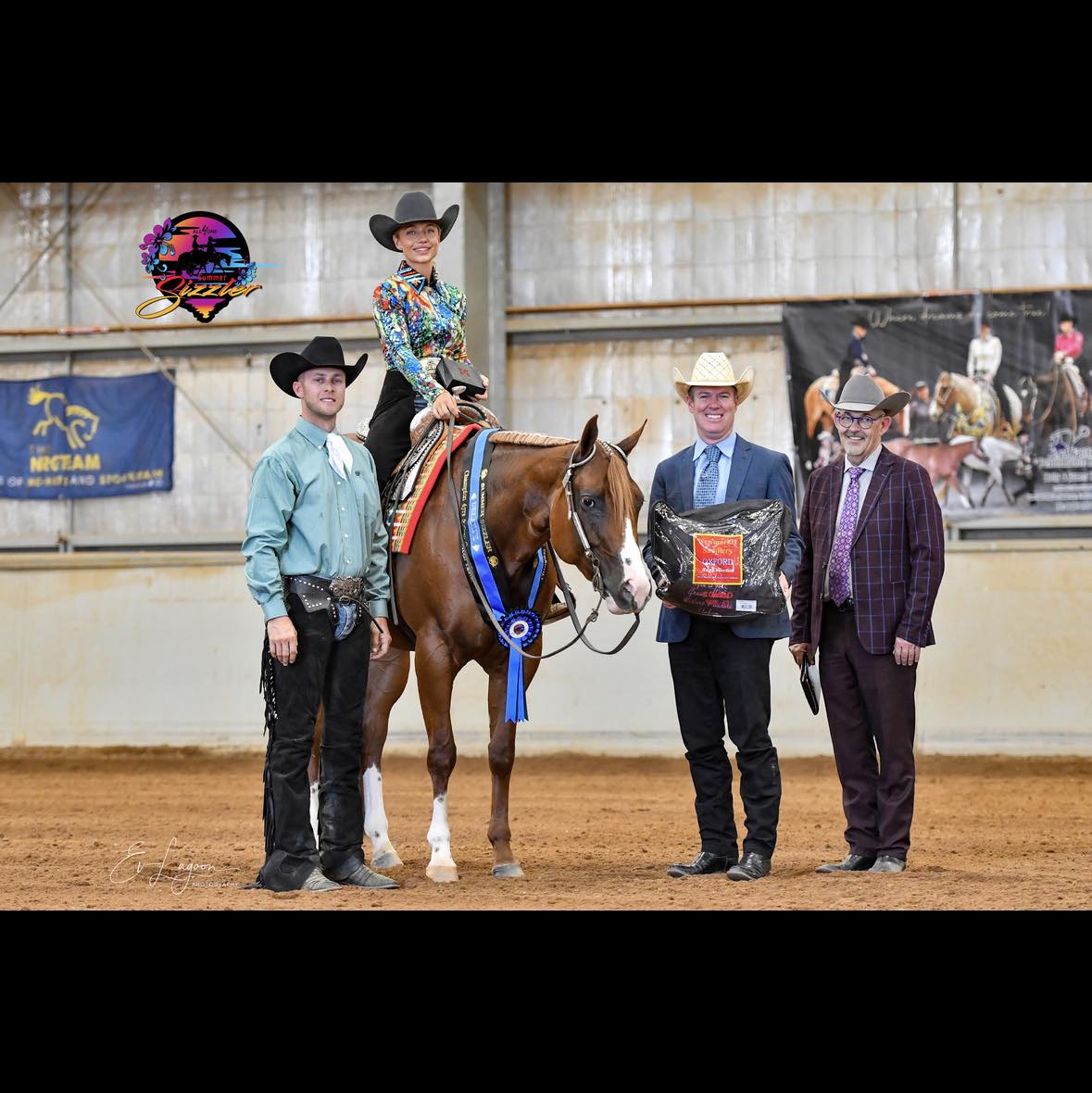 Boutique Show Horses