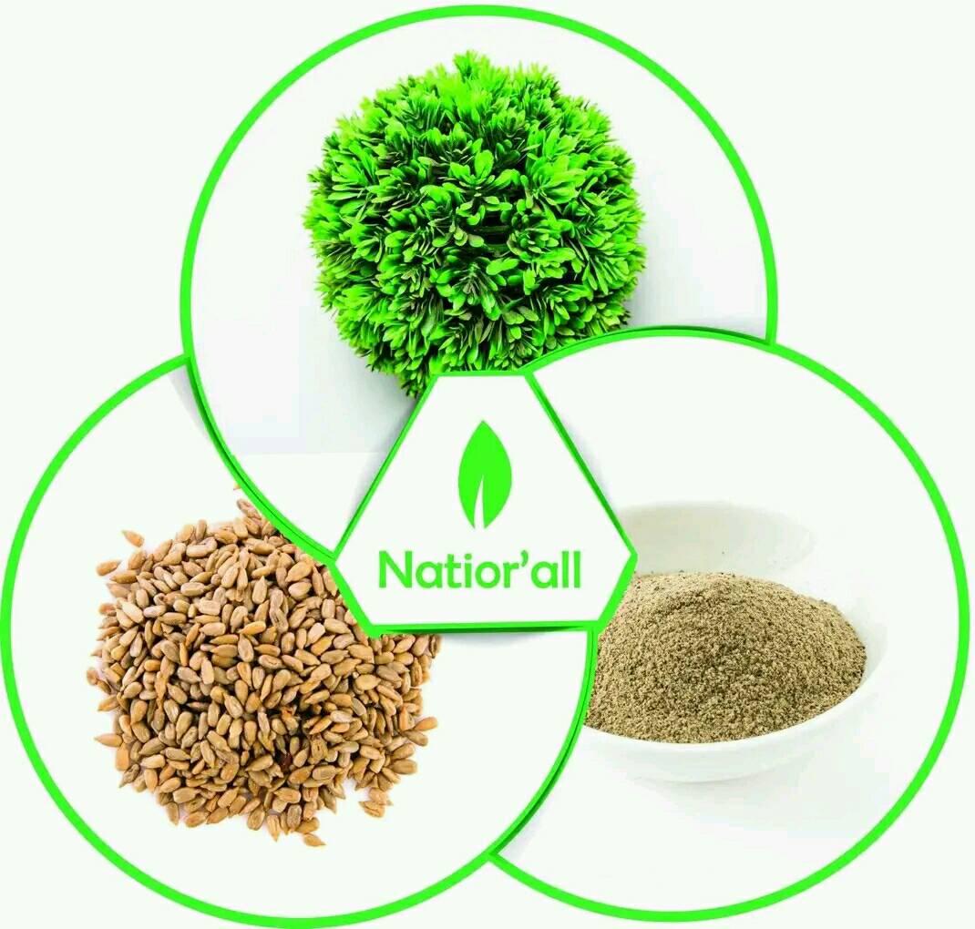 Natior''all