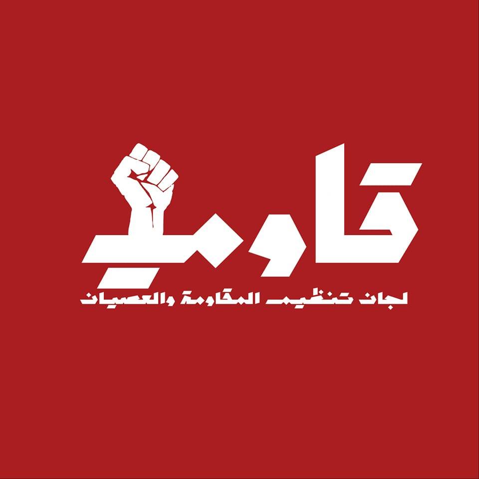 قاوم _ لجنة تنظيم الإضراب والحراك