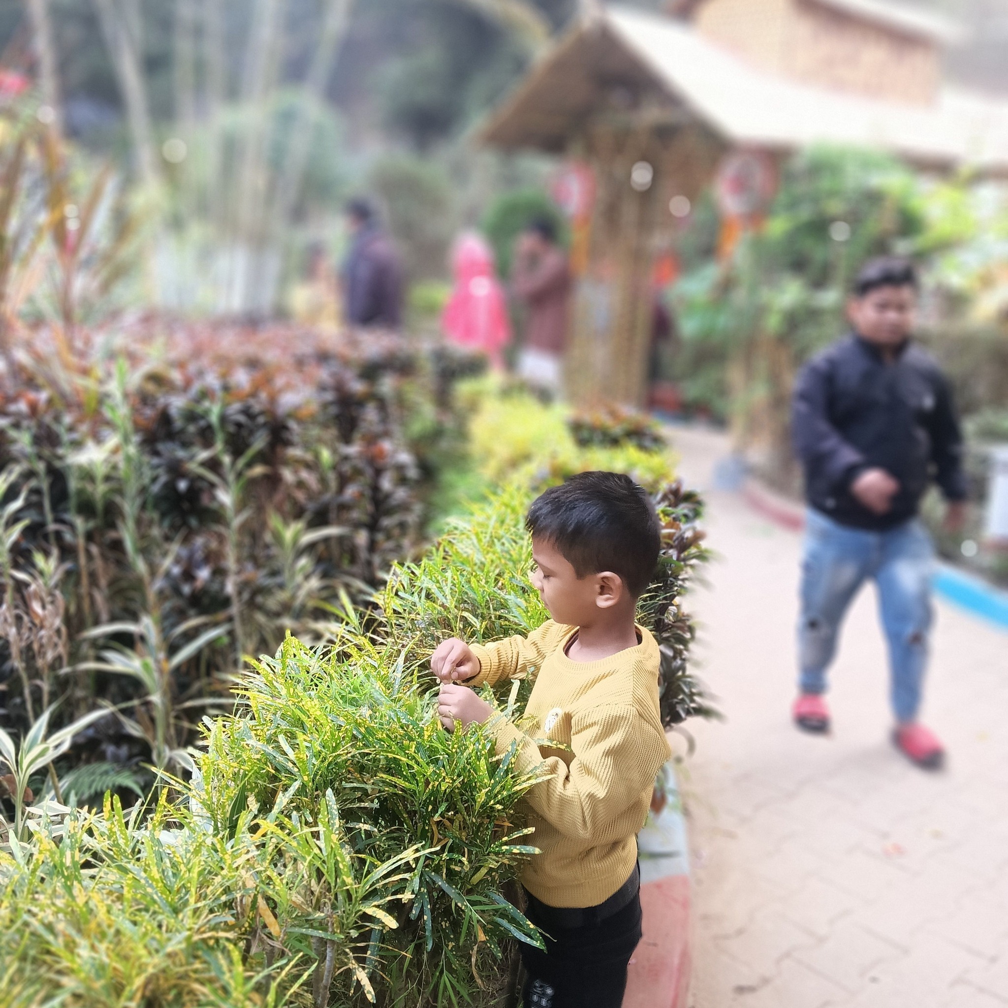 s.k kumar