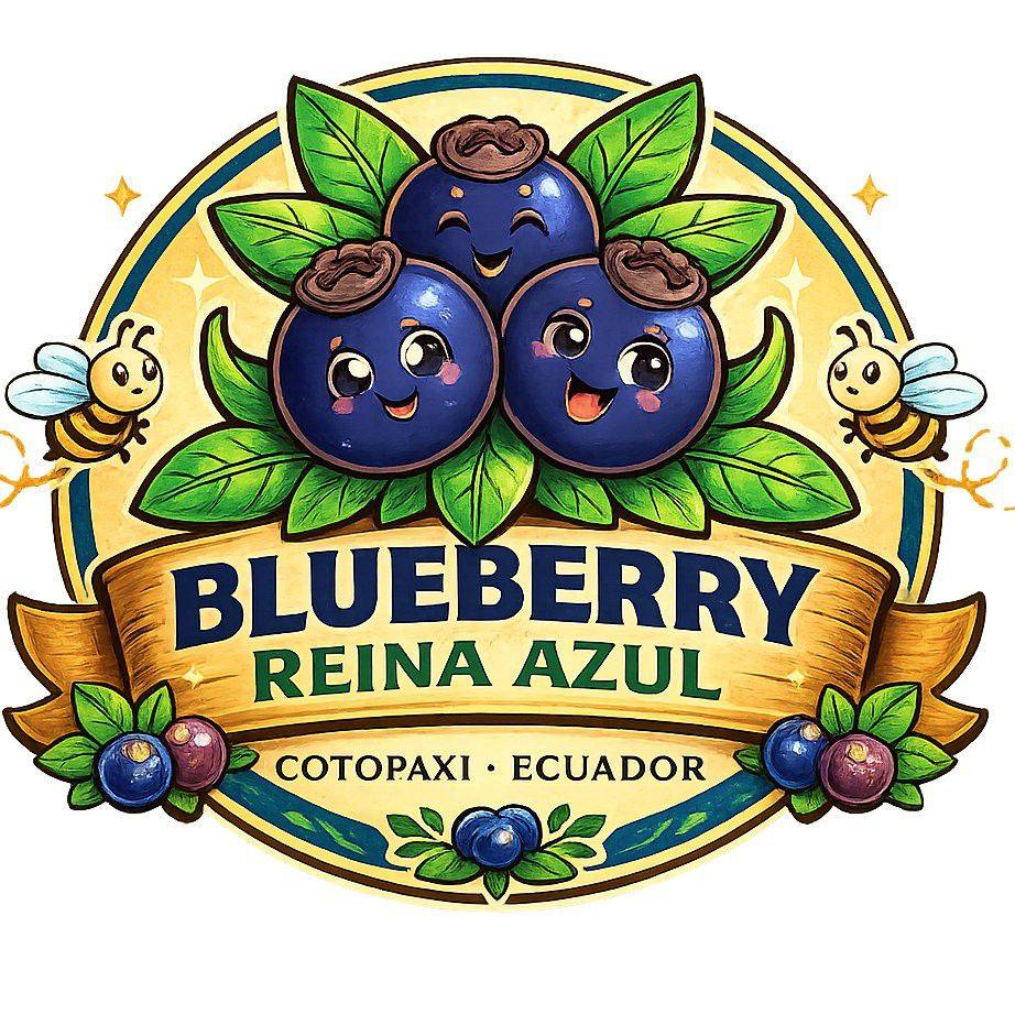 La Ruta del Arándano-Blueberry Reina Azul | Pujilí