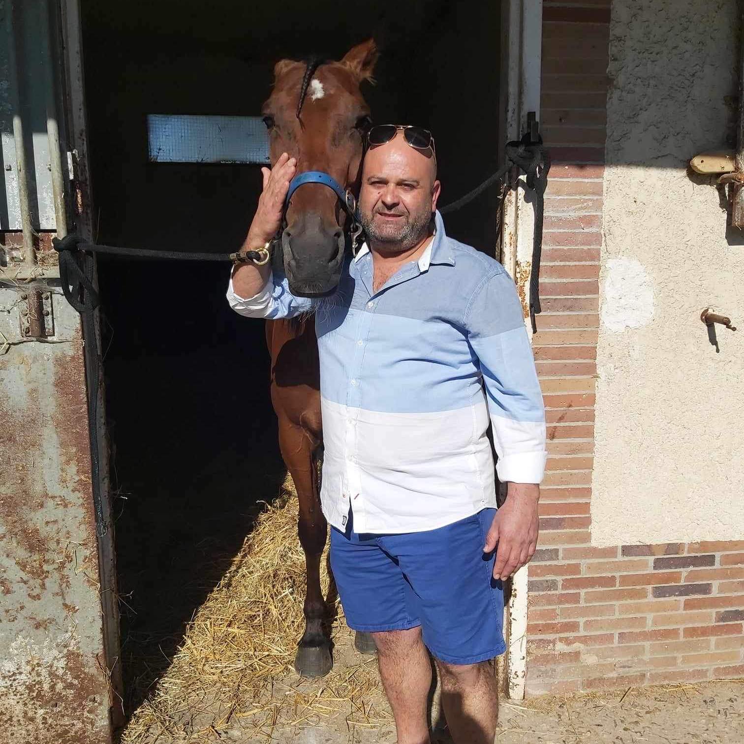 Malta and gozo trot horse negotiator | Sannat