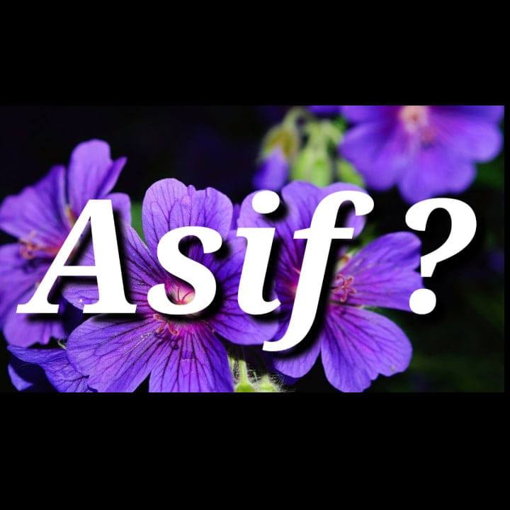 Itx Asif | Layyah