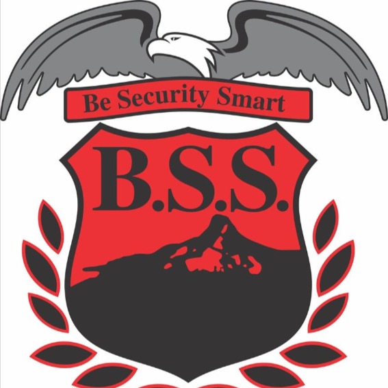 BSS- Be Security Smart | Cape Town