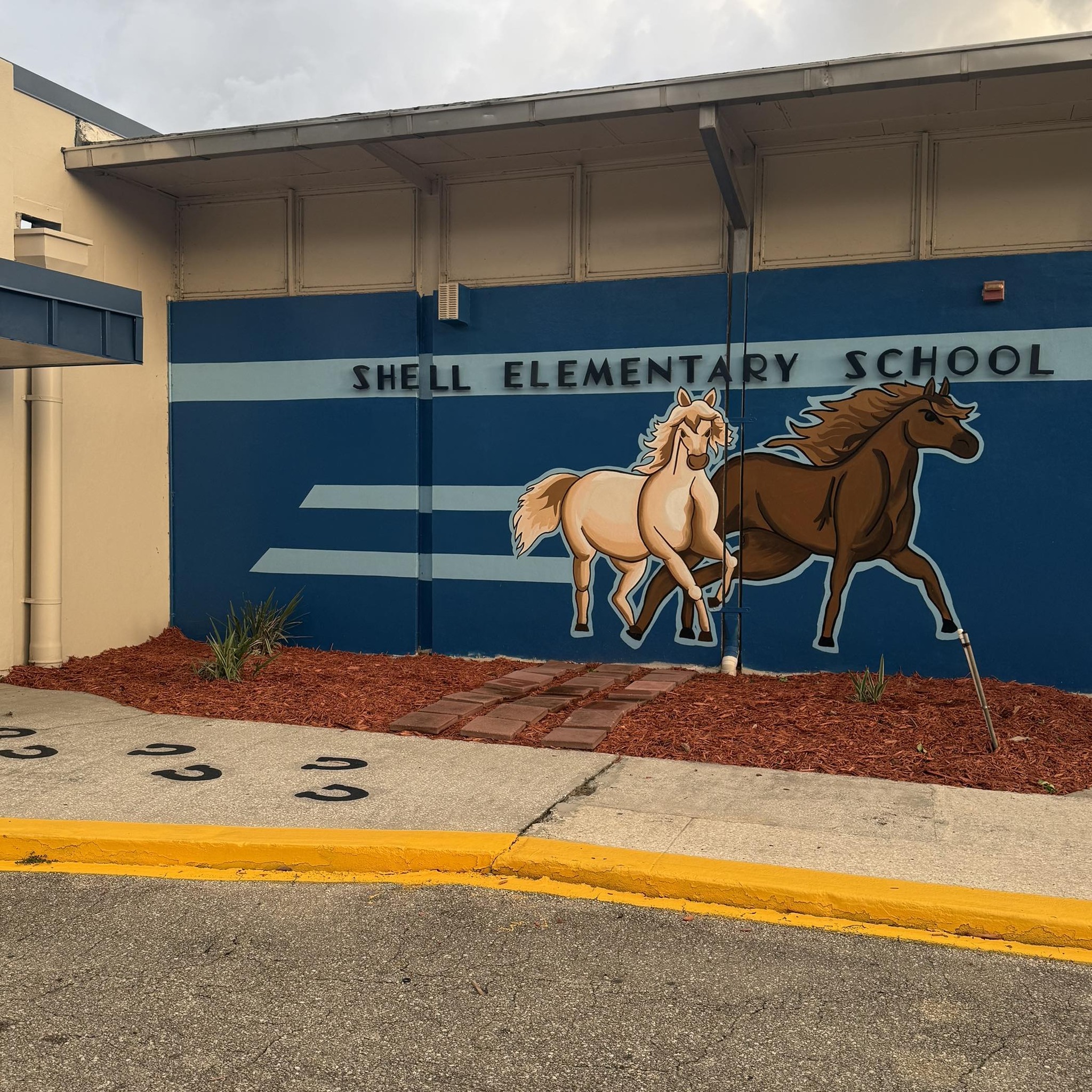 Chester Shell Mustangs | Hawthorne FL