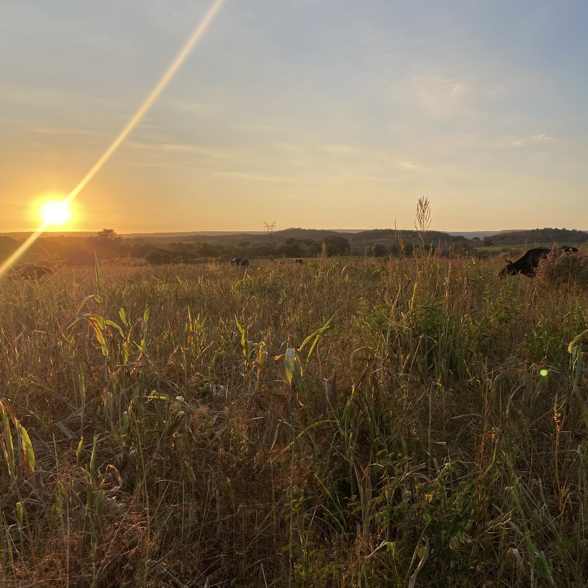 Rancho La Palma Sinaloa