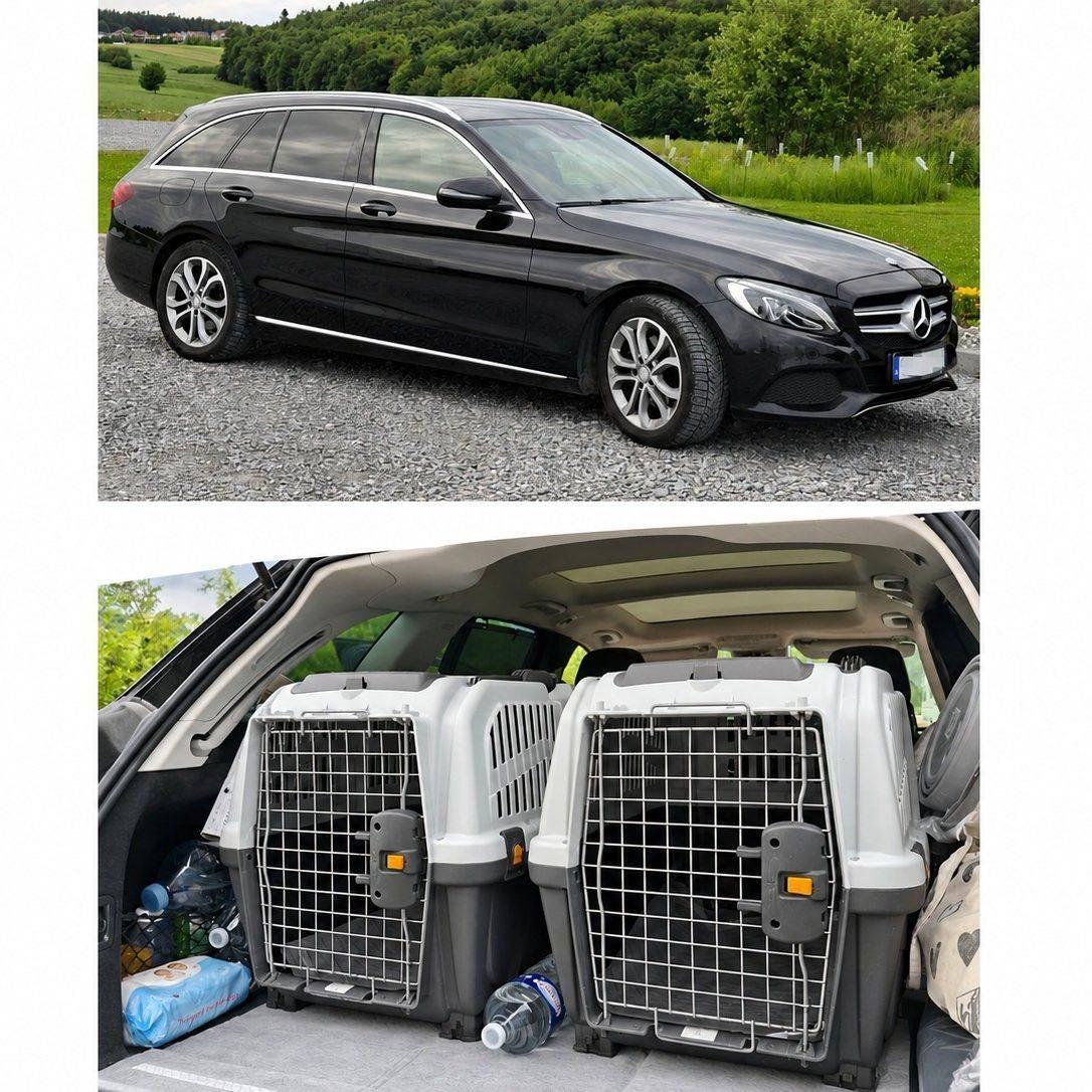 TIM Express - Transport for pets | Kraków