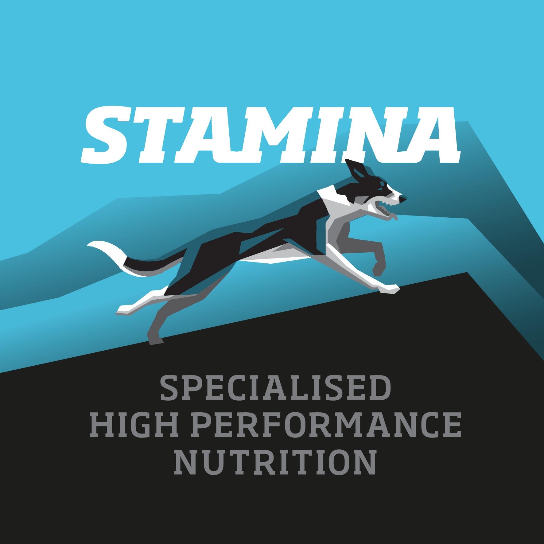 STAMINA Dog Food | Waipukurau - Grain Free Canaan Dog Food For Stamina And Energy