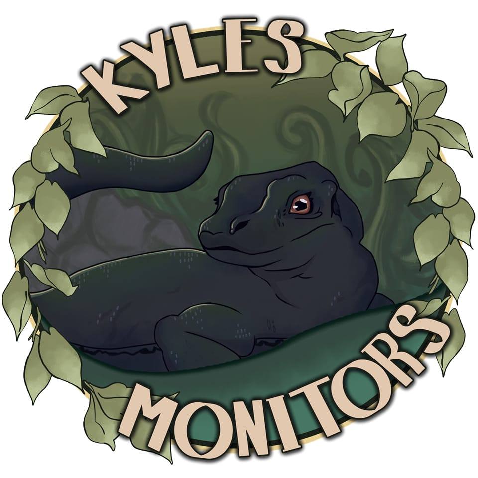 Monitor Lizards and All Things Reptiles | Random question but has ...