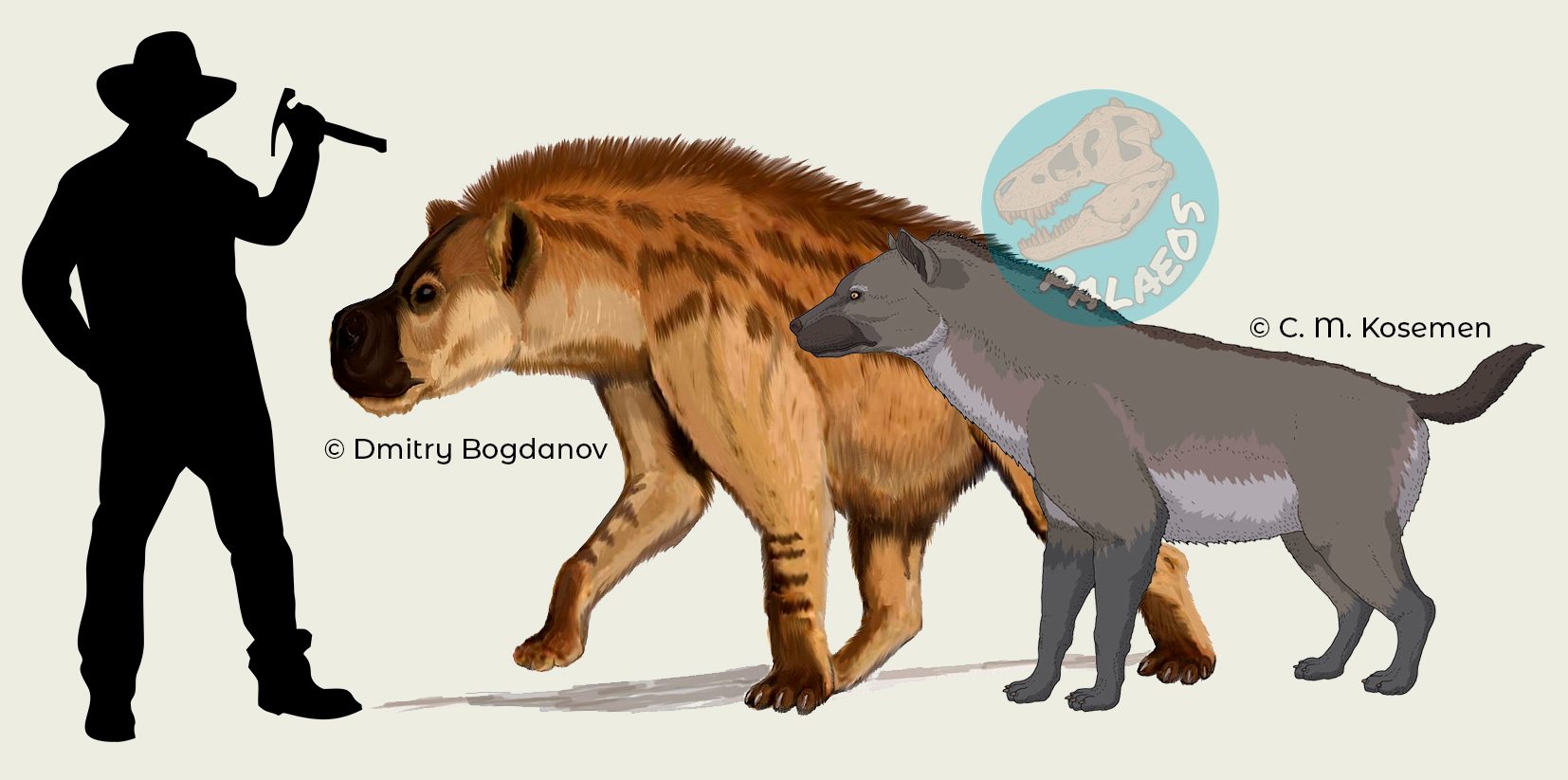 Palaeos - #Paleonews La colosal Dinocrocuta era un depredador rompe ...