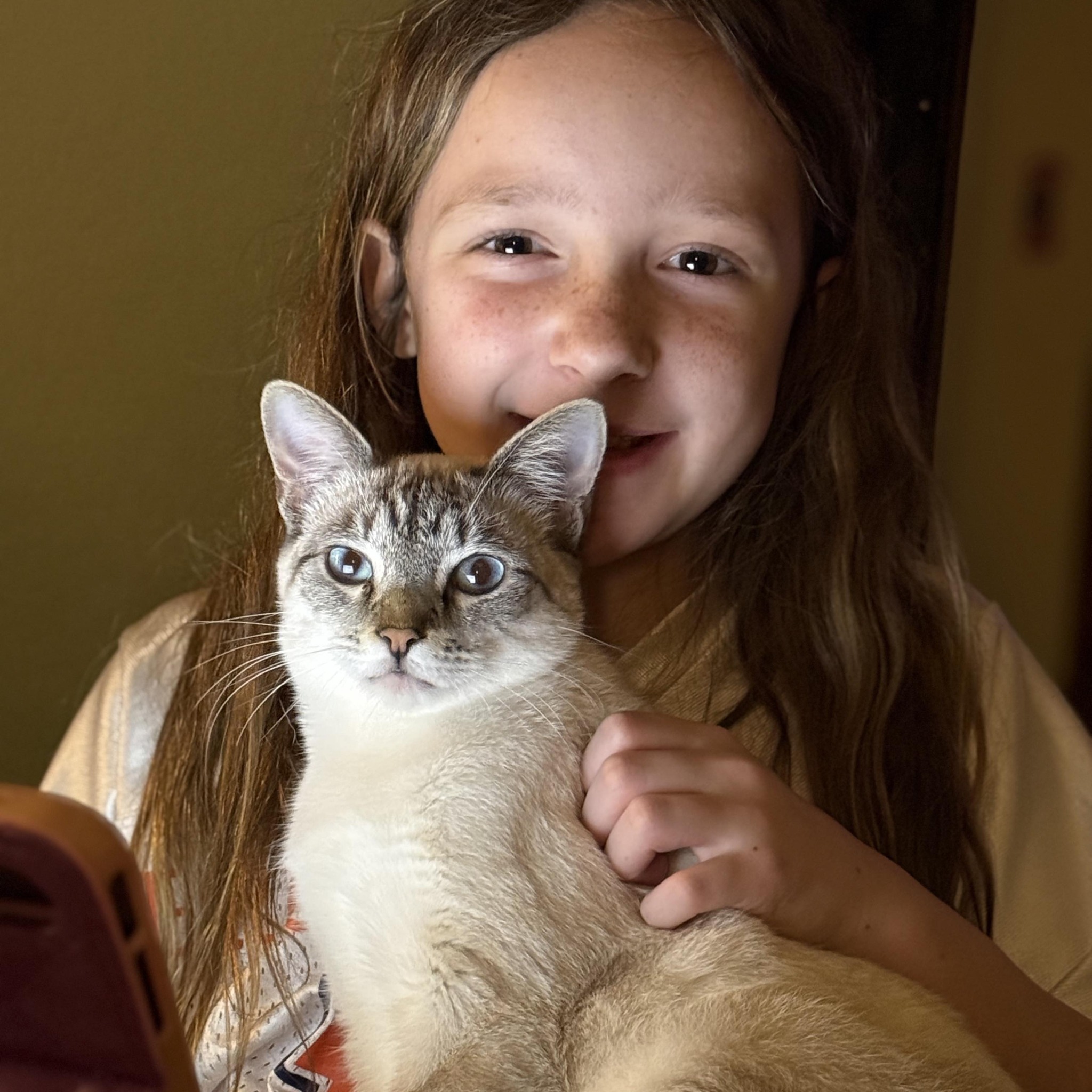 The No Strays Project | Jacksonville TX
