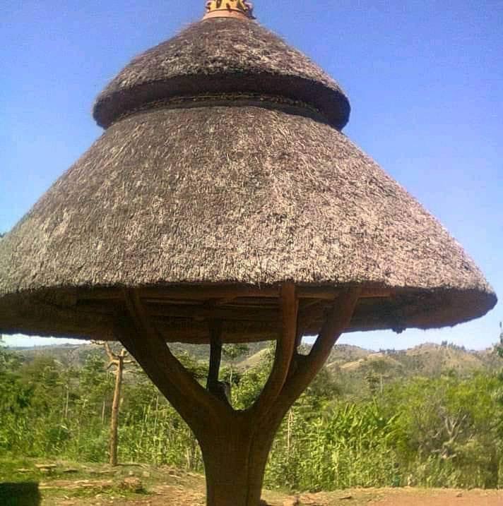 Machara Mayle Dhinsa