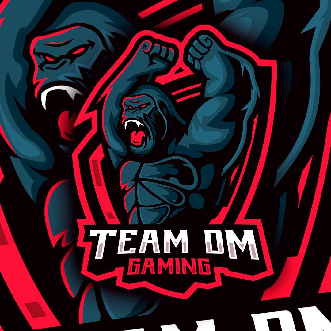 Team DM Gaming