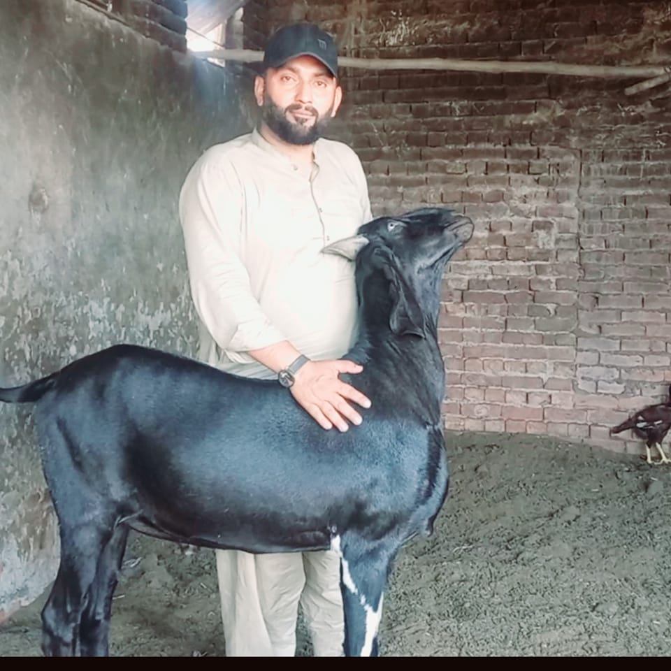 RB Traders | Multan