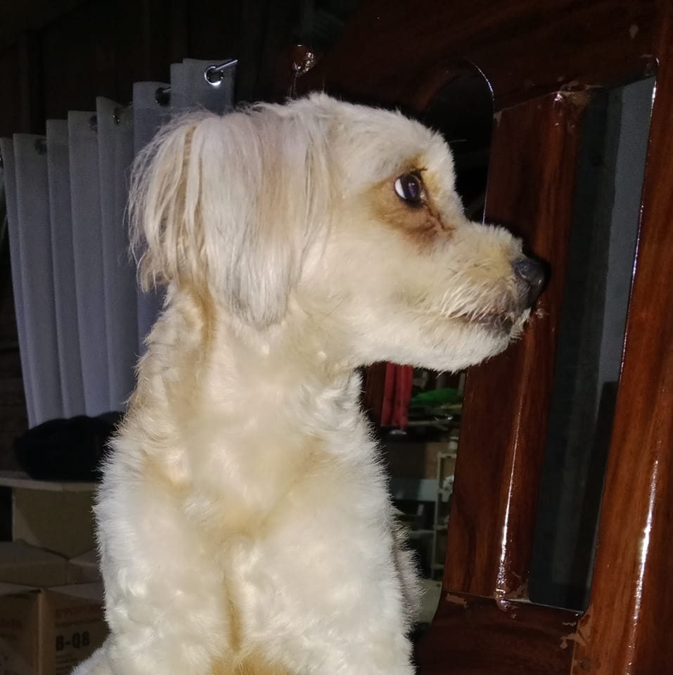Kenji Louie Orbeta