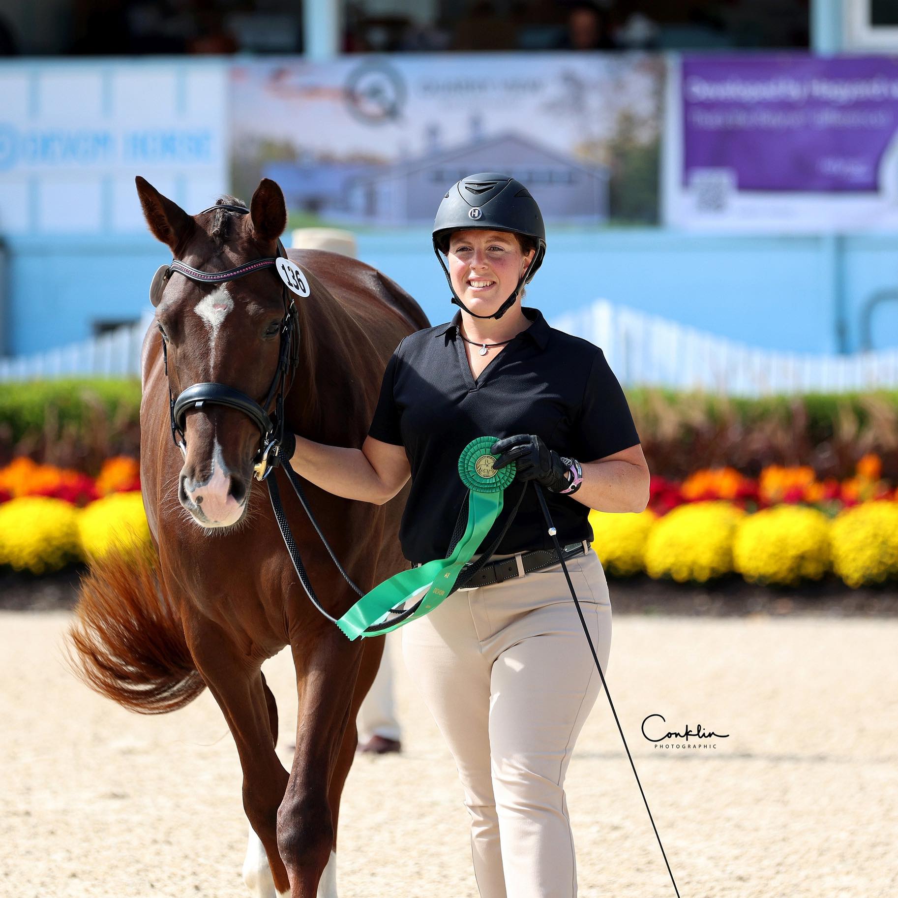 Small Pony CDE Drivers | I am interested in purchasing/ordering a Bell ...