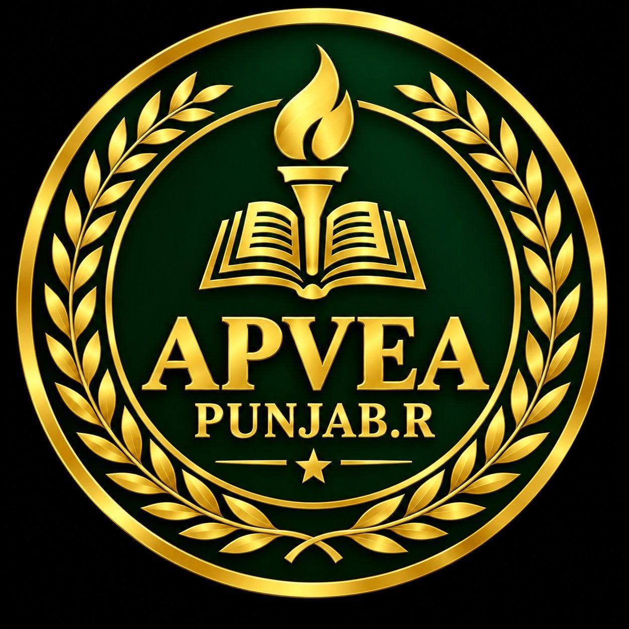 APVEAPunjab.R | Jhang Sadar