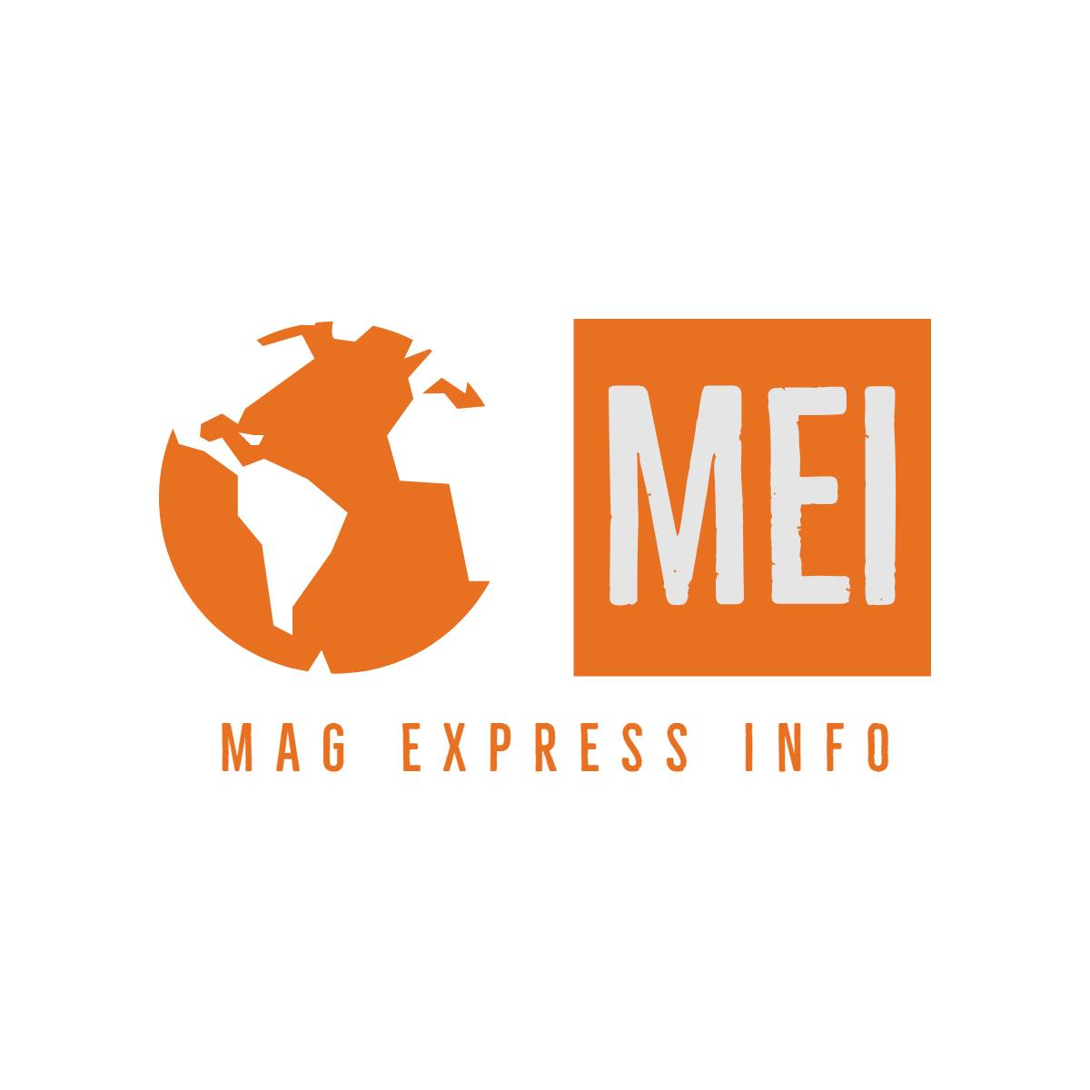 Mag Express Info