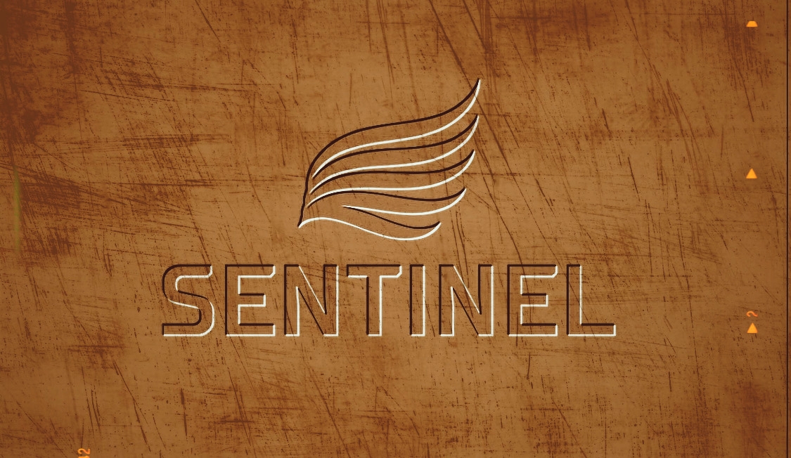 Sentinel Arms