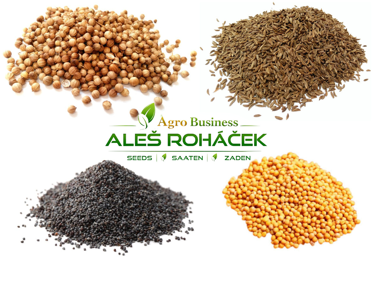 Aleš Roháček | Prostejov