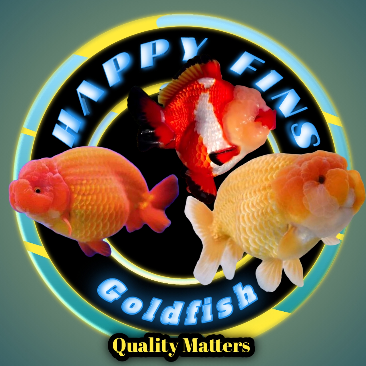 Thumbnail for Space Requirements For Happy Goldfish For Happy Two